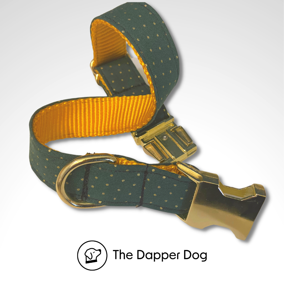 Dapper dog collars hotsell