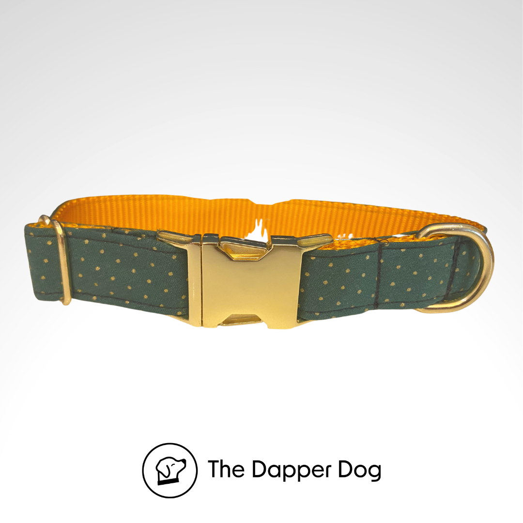Printed Collar - Golden Polka Dots