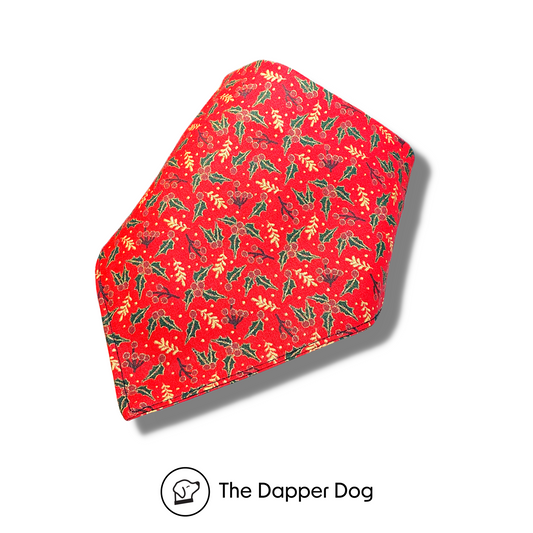 Mistletoe - Dog Bandana - Holiday Collection