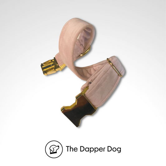 Velvet Collar - Rose Quartz