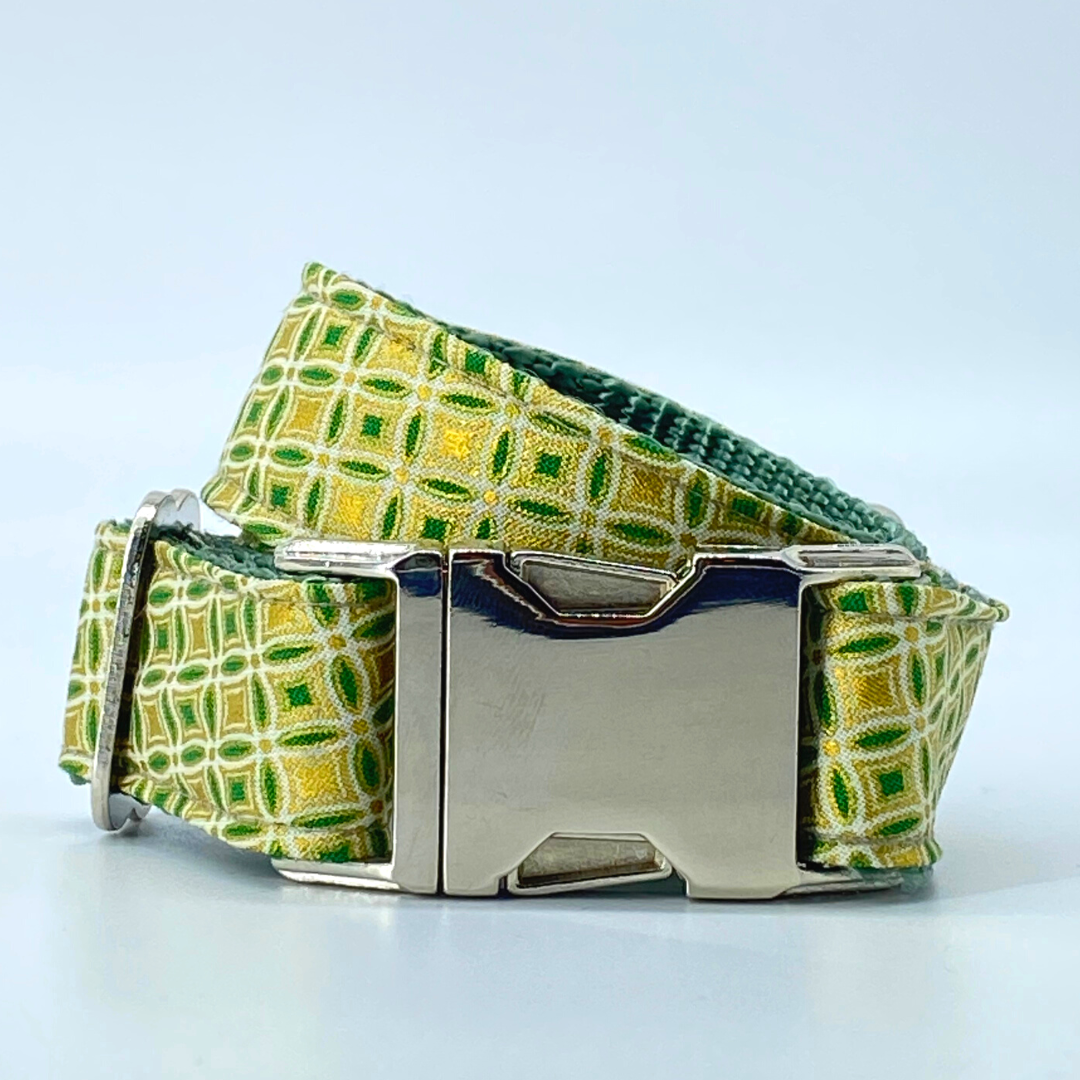 Emerald & Gold - Holiday Inspired Dog Collar