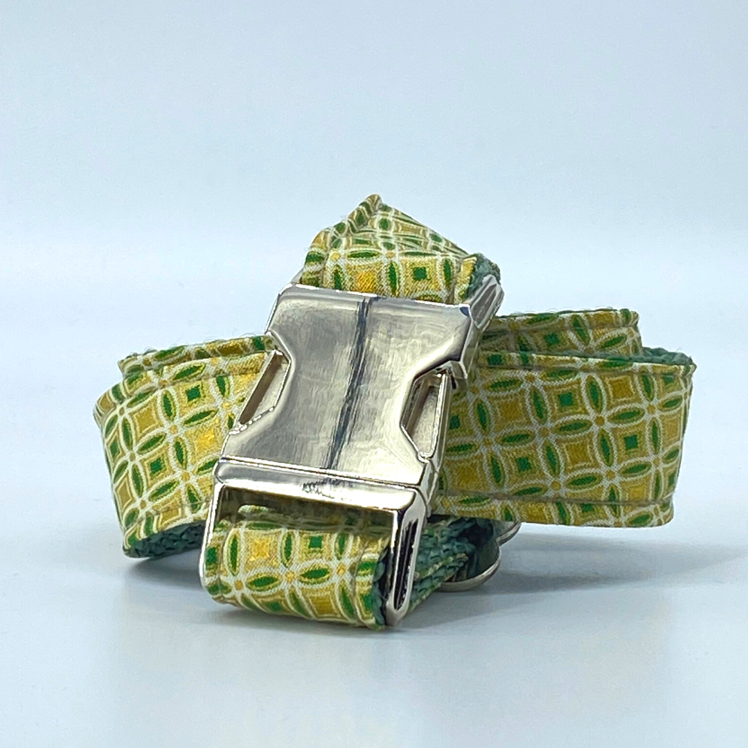 Emerald & Gold - Holiday Inspired Dog Collar