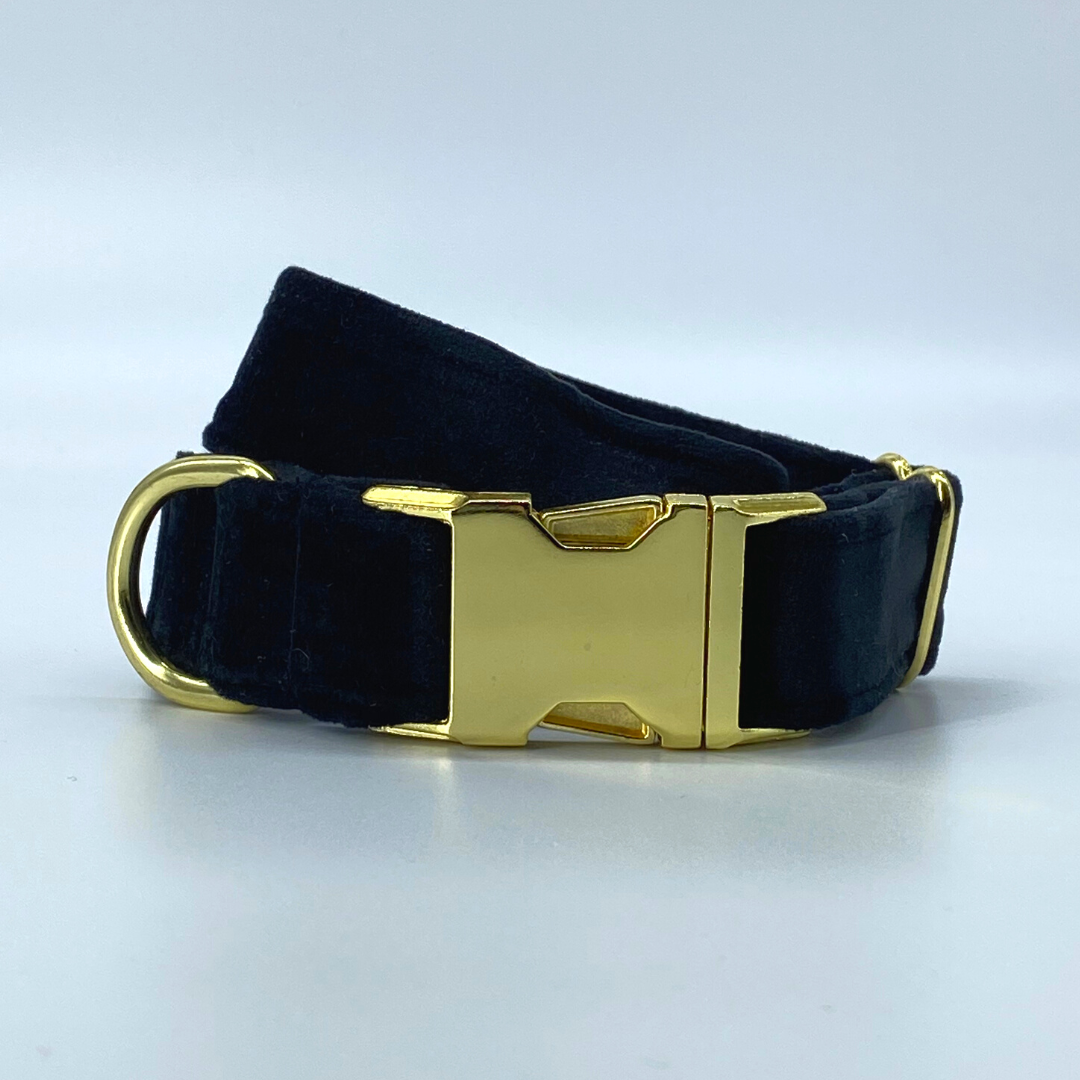 Onyx - Velvet Collar