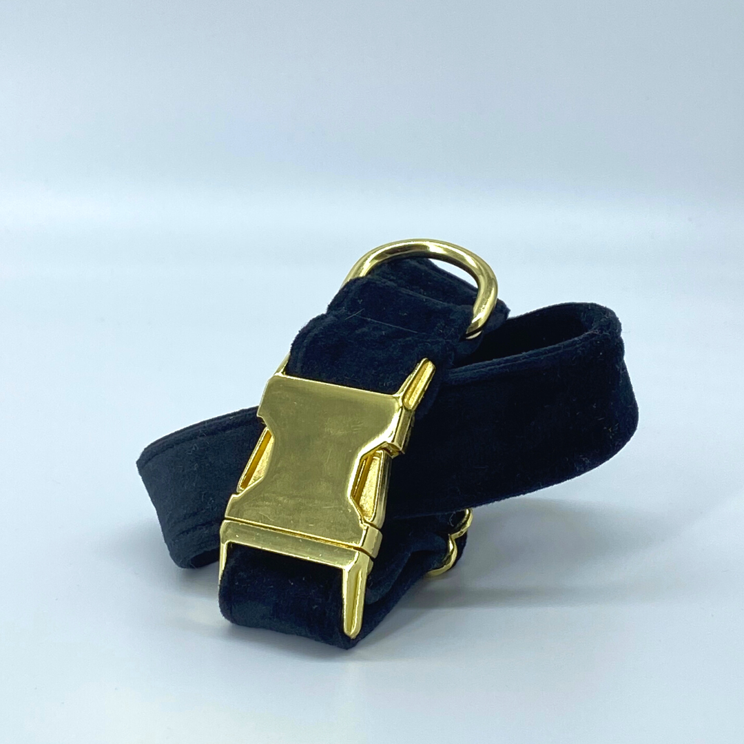 Onyx - Velvet Collar