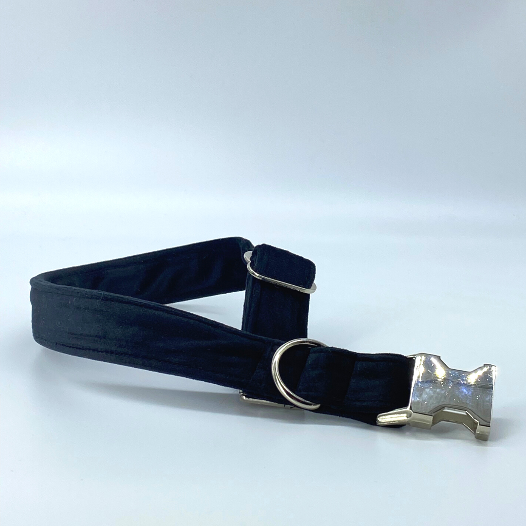 Onyx - Velvet Collar