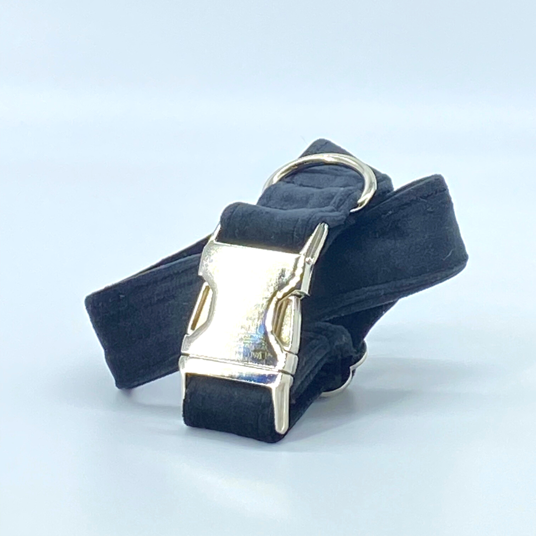 Onyx - Velvet Collar