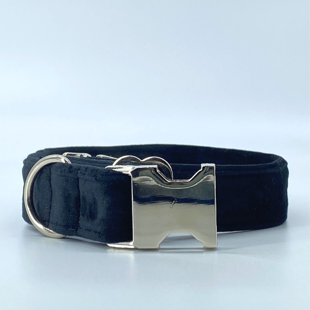 Onyx - Velvet Collar
