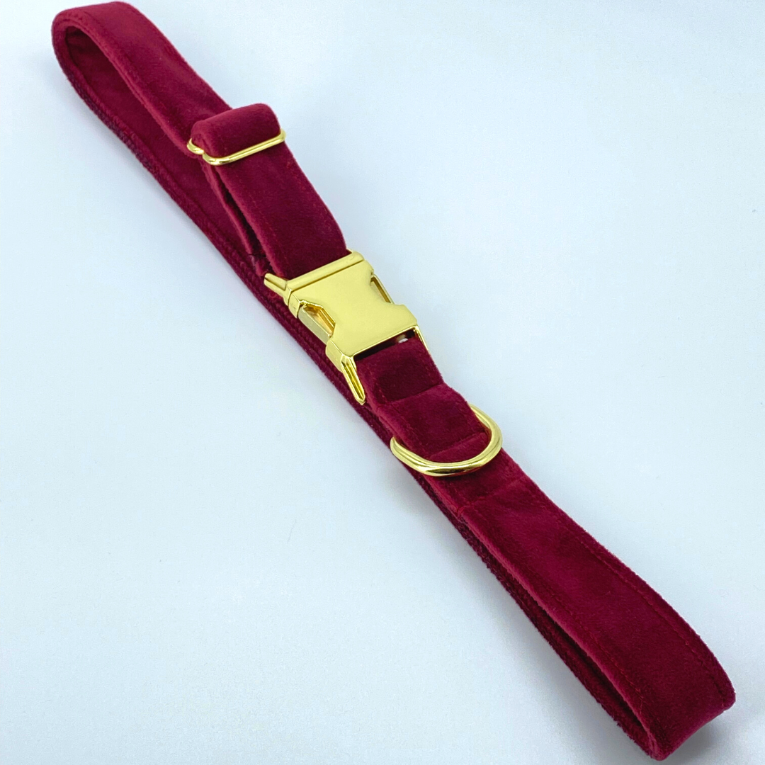 Burgundy - Velvet Collar