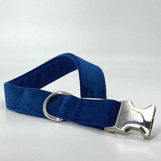 Sapphire - Velvet Collar