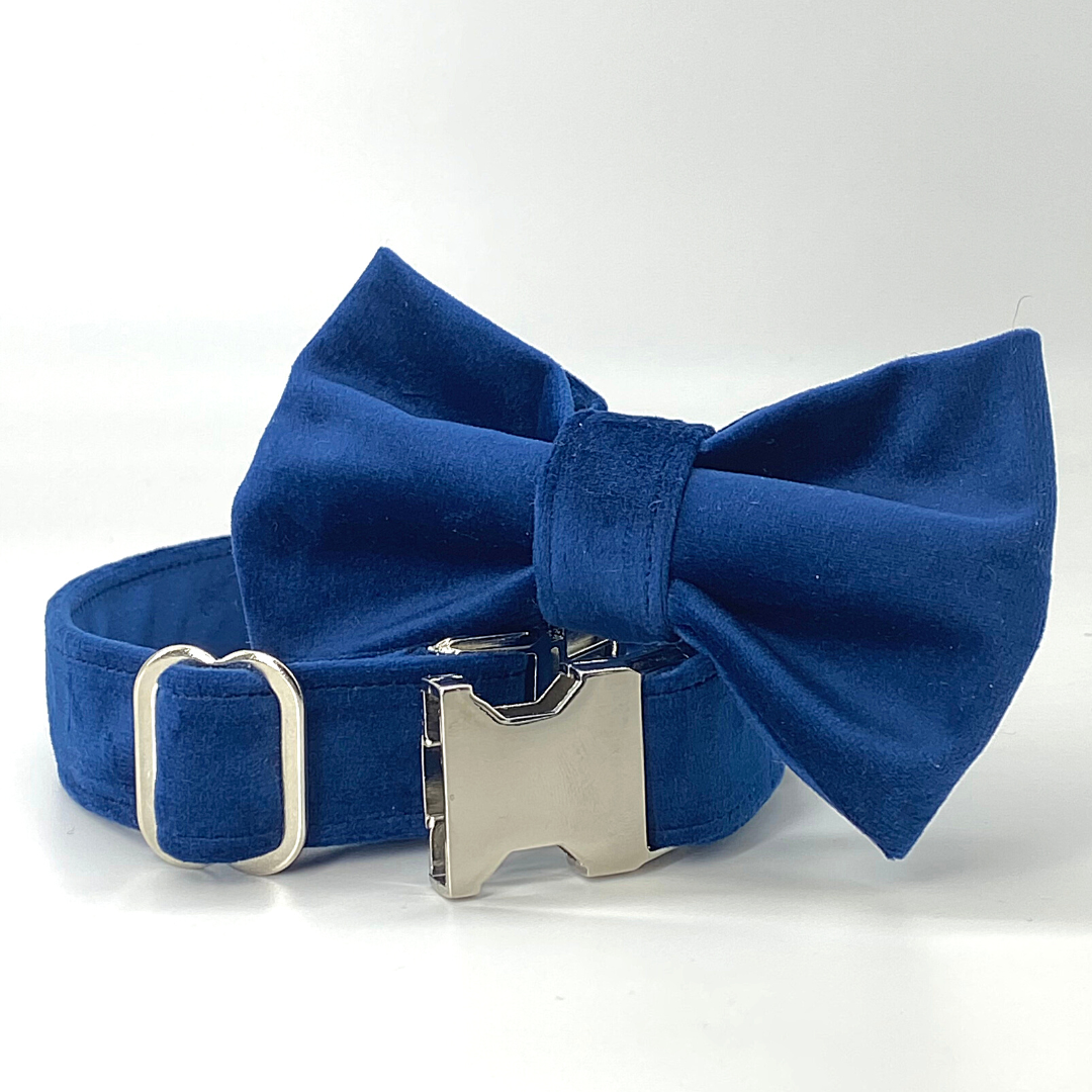 Sapphire - Velvet Collar