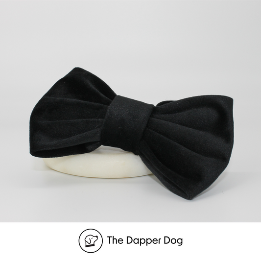 Onyx - Velvet Bow Tie