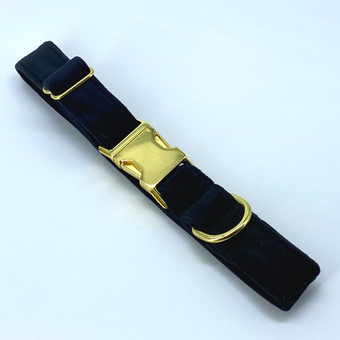 Onyx - Velvet Collar