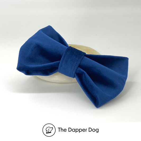 Navy - Velvet Bow Tie
