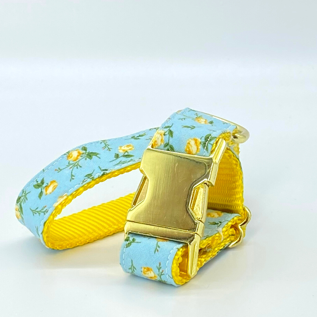 Springtime Rose - Dog Collar