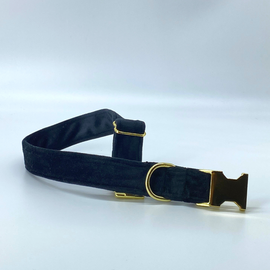 Onyx - Velvet Collar