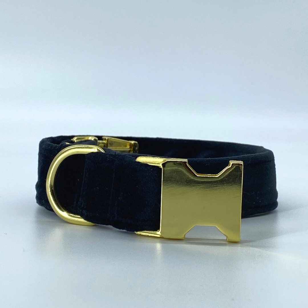 Onyx - Velvet Collar