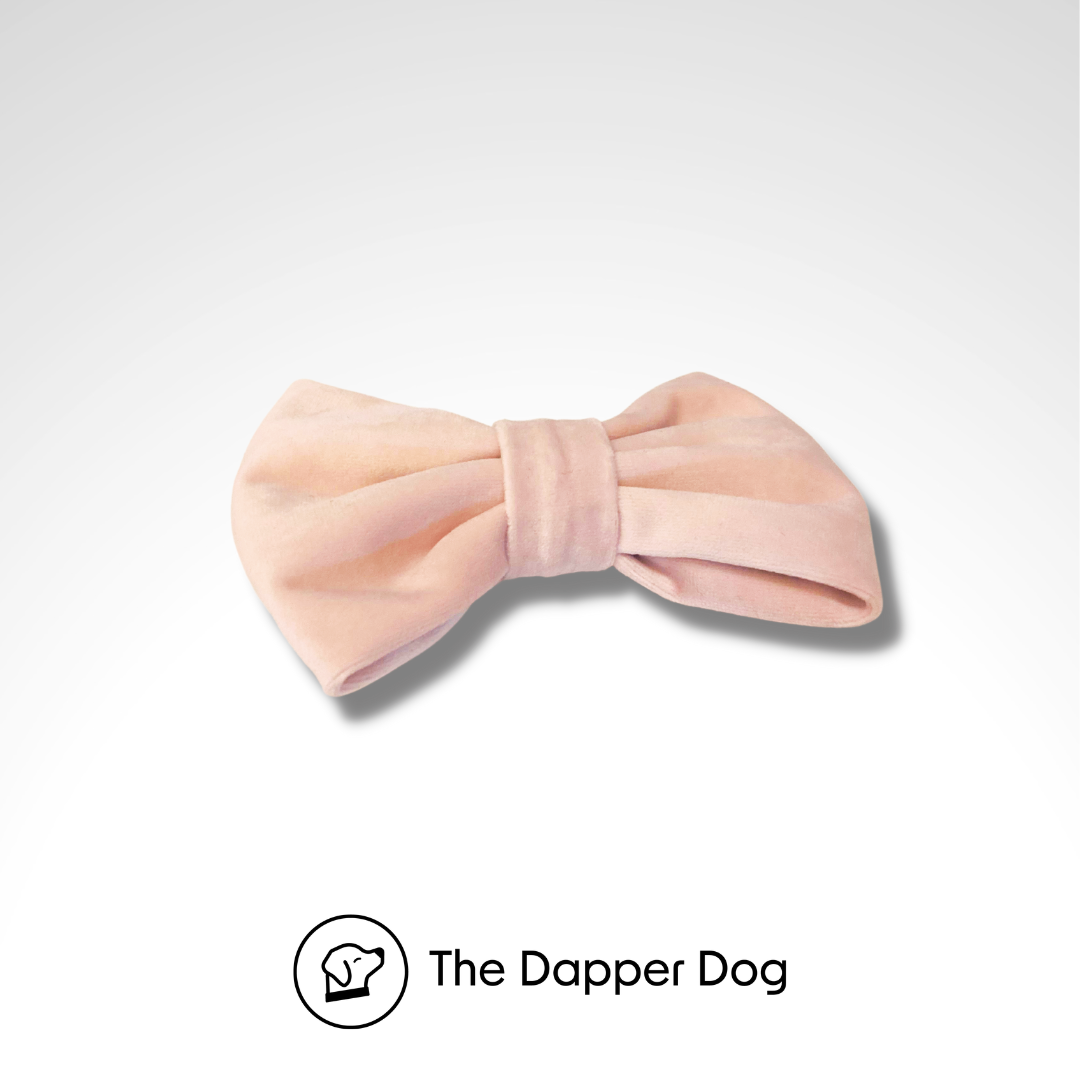 Velvet Bow Tie - New Colour - Rose Quartz