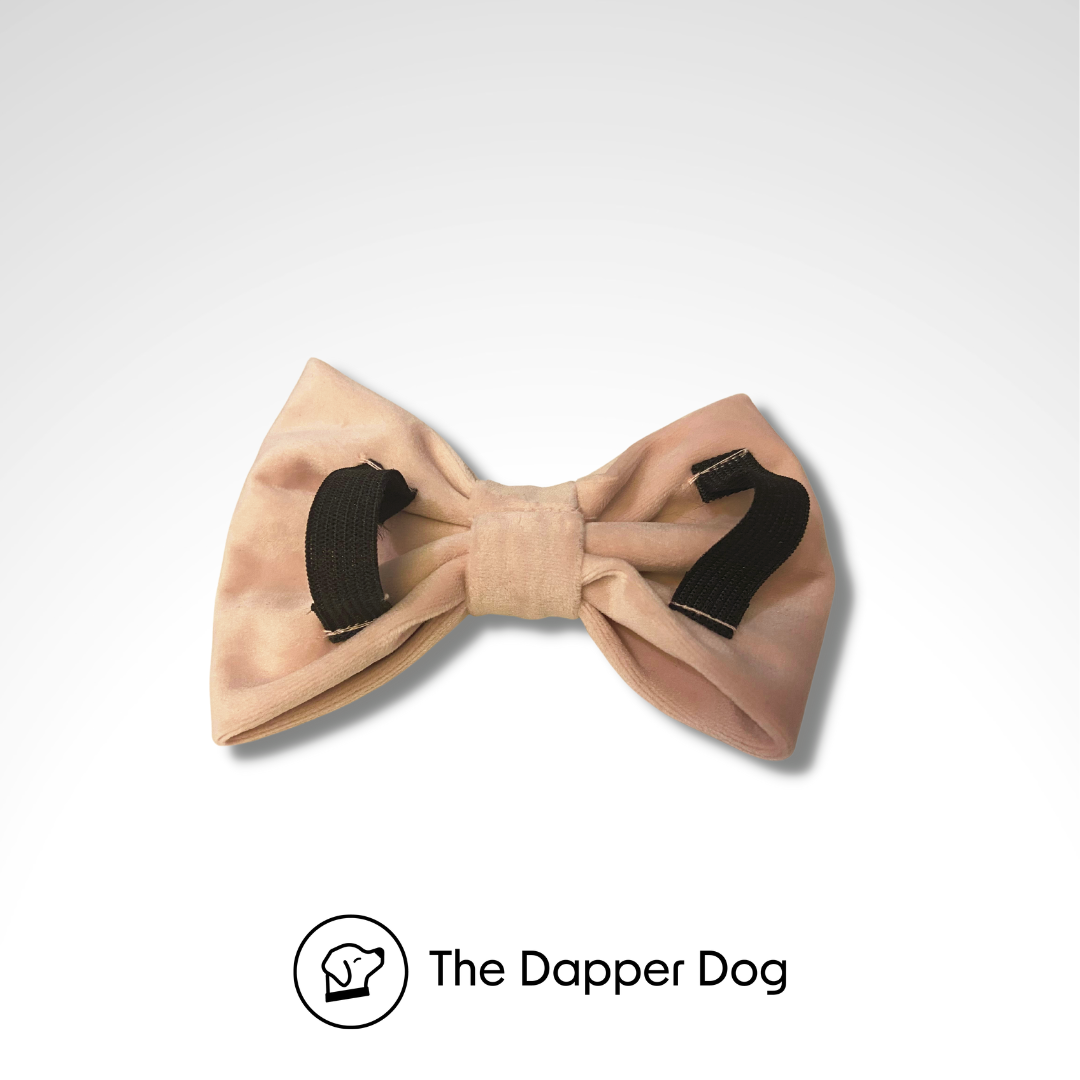 Velvet Bow Tie - New Colour - Rose Quartz