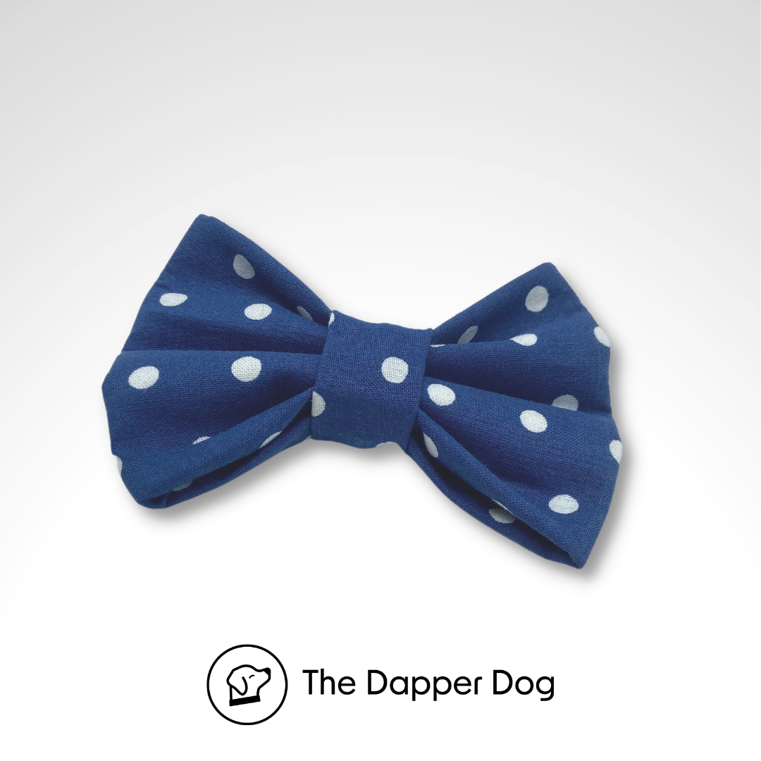 The Dapper Dog | Quality & Fashionable Dog Accessories | Online Store