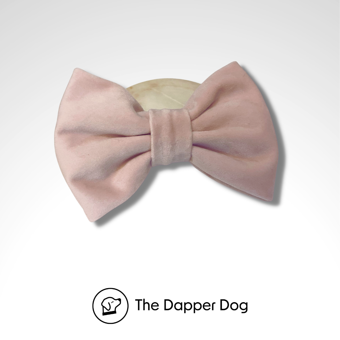 Velvet Bow Tie - New Colour - Rose Quartz