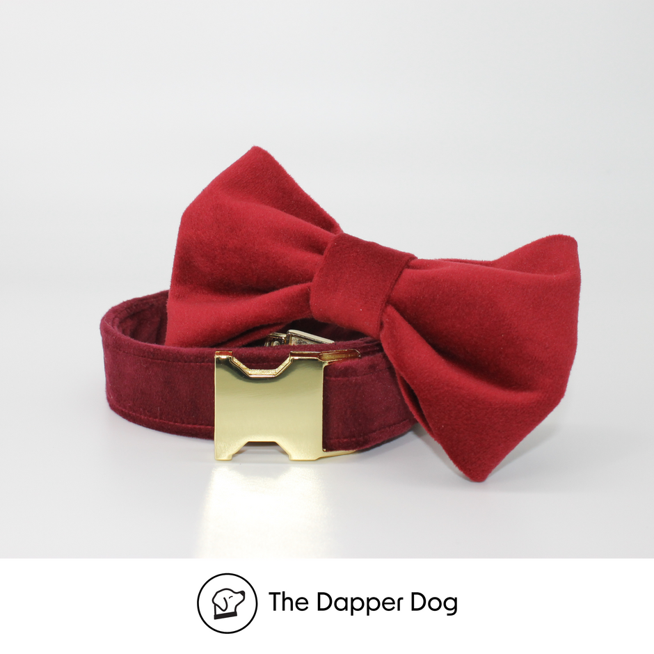 The Dapper Dog Quality & Fashionable Dog Accessories Online Store