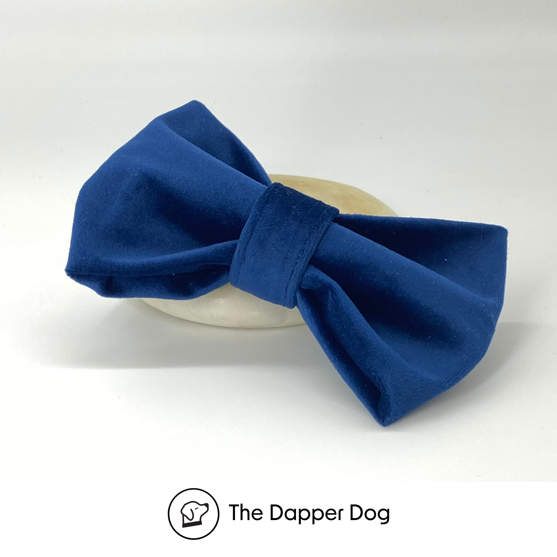 Navy dog bow deals tie